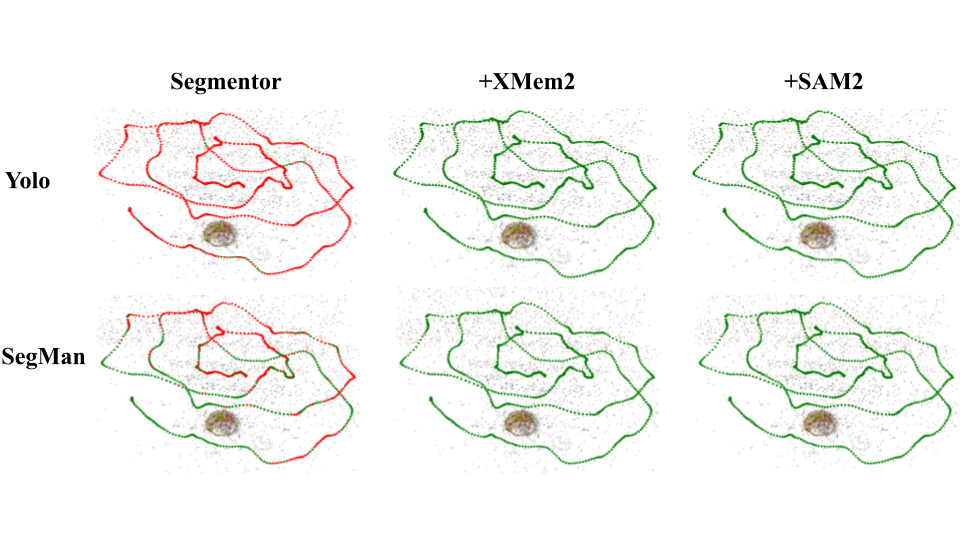 Comparison of camera locations for the base segmentor, the segmentor with XMem2, and the segmentor with SAM2, with cameras colored by mAP: red for ≤50\, orange for 50–75%, yellow for 75–95%, and green for ≥95%. The visualization highlights how each integration affects segmentation robustness across different viewpoints.